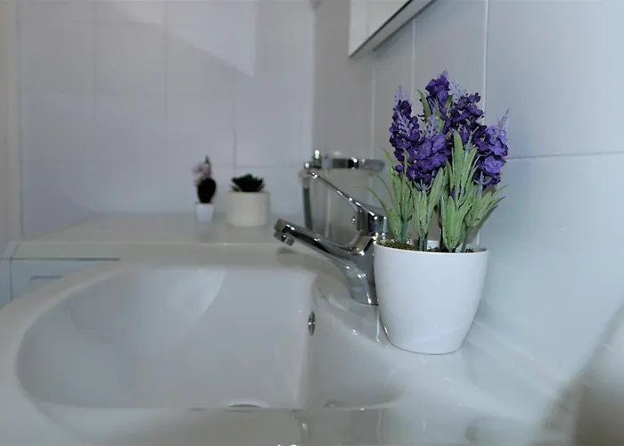 Spacious Near Old Town Split